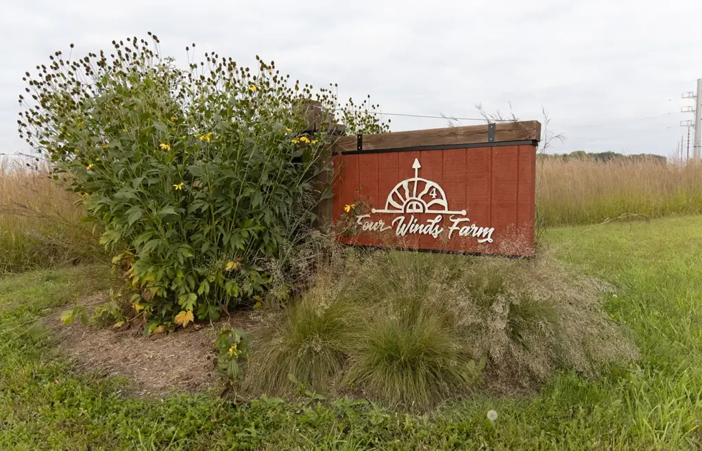 back abt timeline About